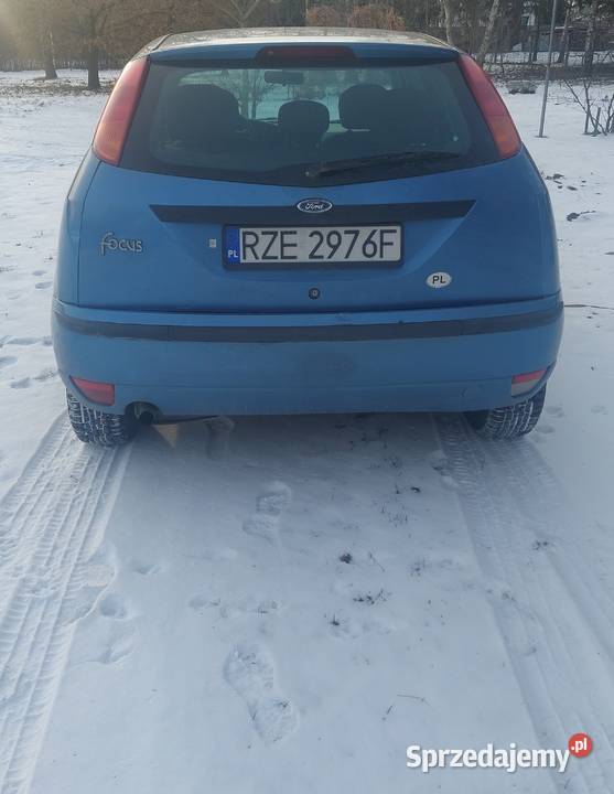 Samochód Ford Focus 2002 111900km Focus Rzeszów