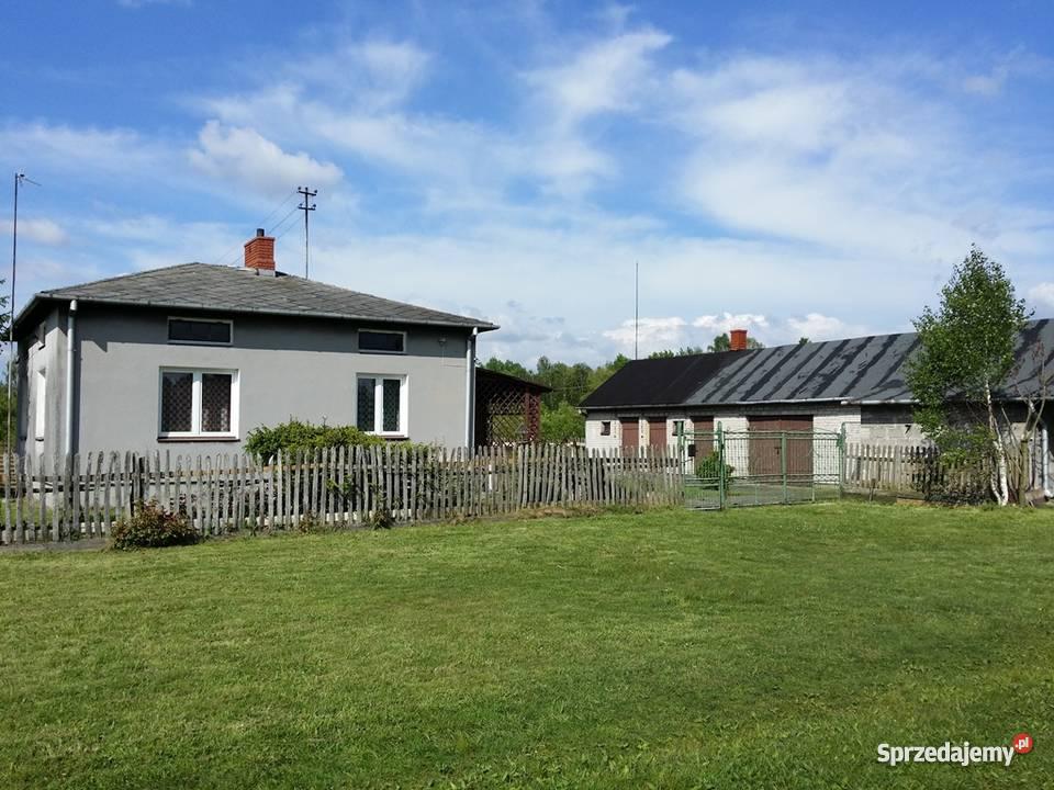 dom Żółwin kPodkowy Leśnej Żółwin