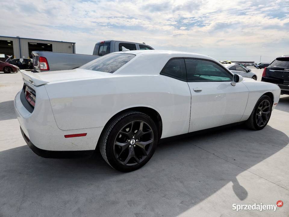 Dodge Challenger SXT 2019 3600cm3 podlaskie Białystok
