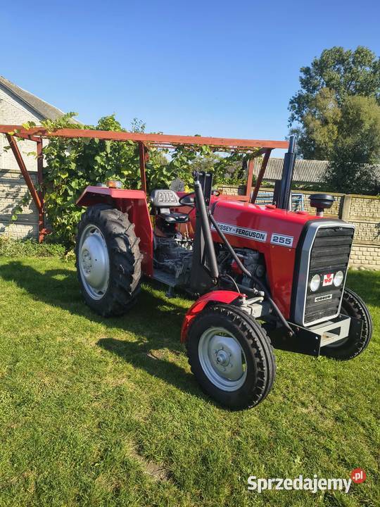 Sprzedam Massey Ferguson 255 Golice