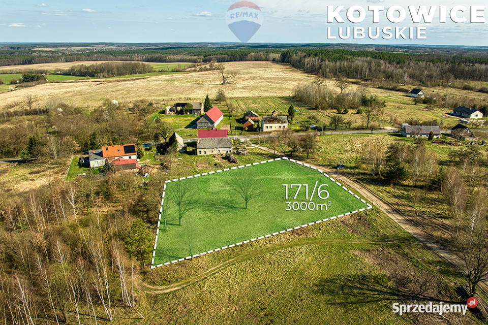 Działka w Kotowicach z warunkami zabudowy 3000m2 0m Kotowice