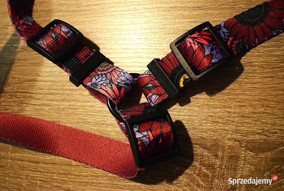 Szelki psa z serii Story Carnival marki Chaba Chełmno