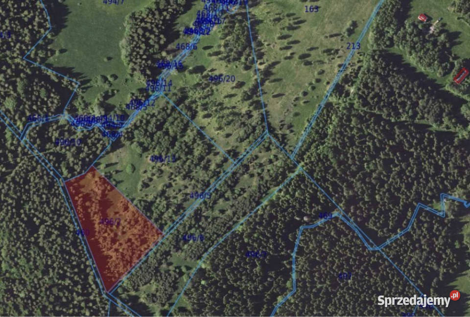 Działka Czarna 11400m2 8zł/m2 Sprzedaż sprzedam