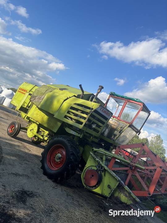 Class Consul nieuszkodzony Zbożowe Nowy Korczyn