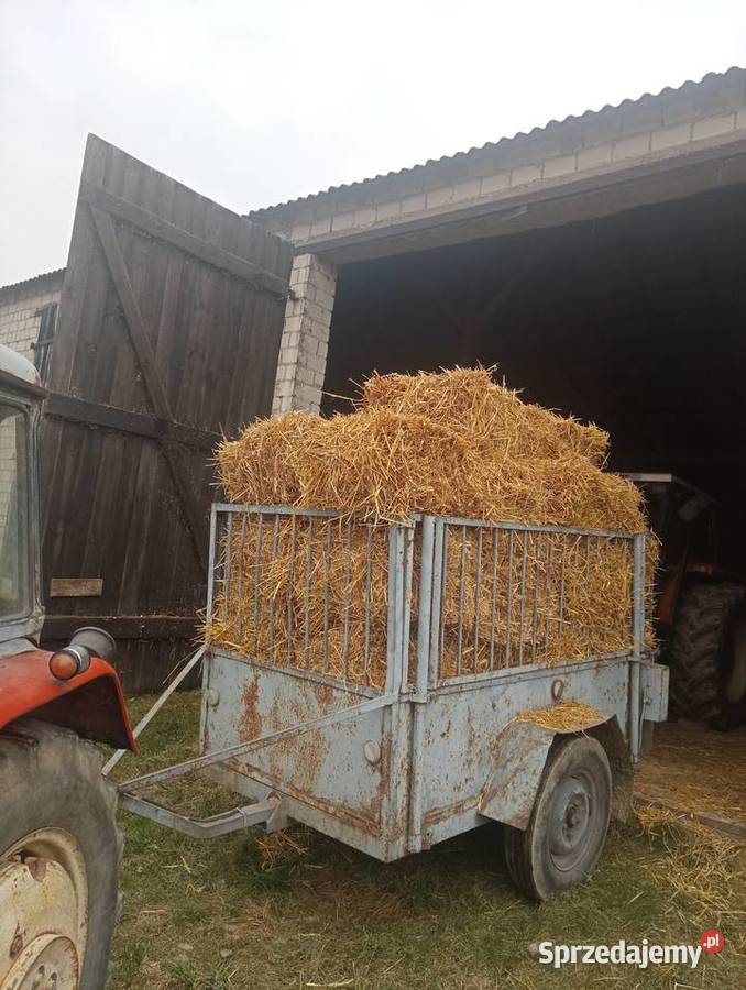 Słoma mała kostka Koronowo sprzedam