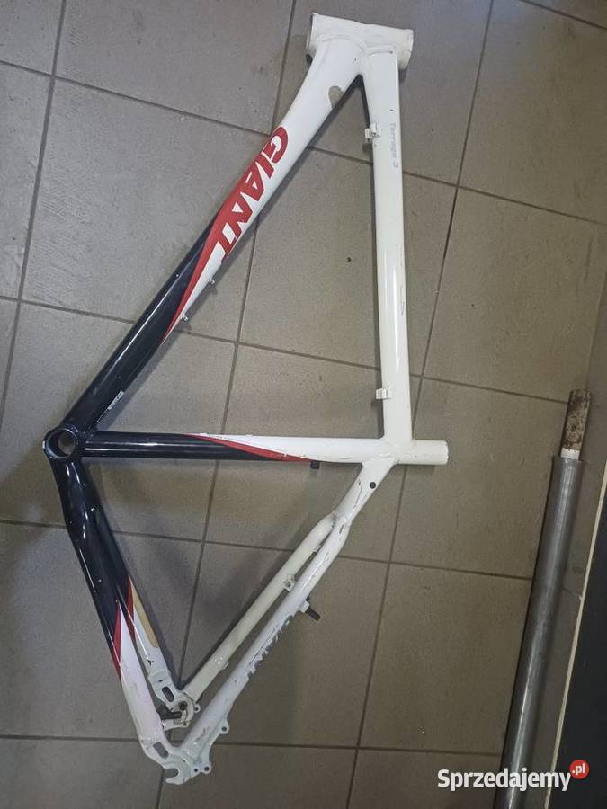 Rama rowerowa firmy Giant Sępólno Krajeńskie