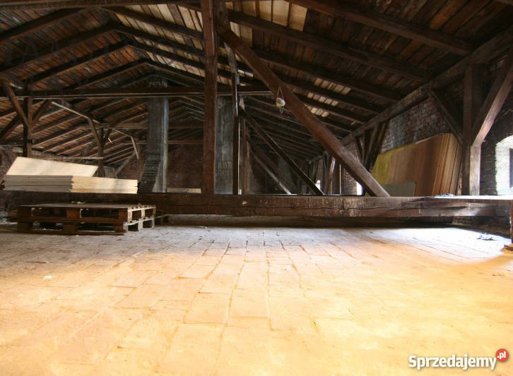 STRYCH KRAKOW CENTRUM