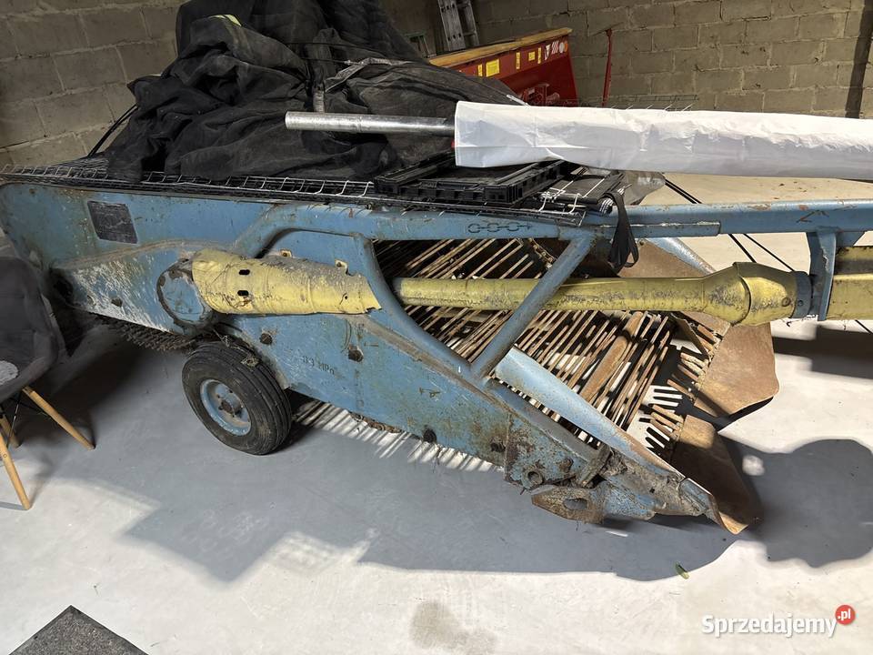 Sprzedam kopaczów do ziemniaków świętokrzyskie sprzedam