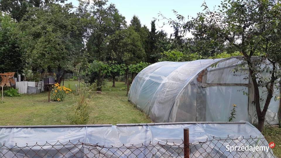 Ogródek działkowy ROD 300 m2 Białołęka Warszawa