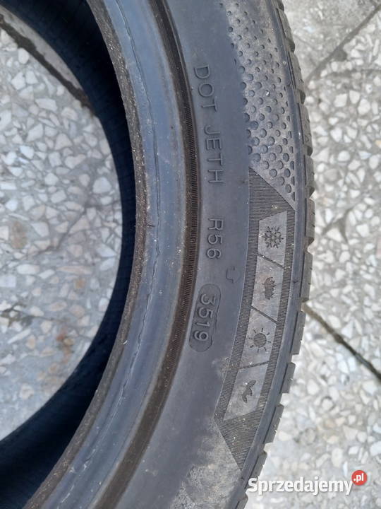 Minerwa allseson master 2254517 Żary