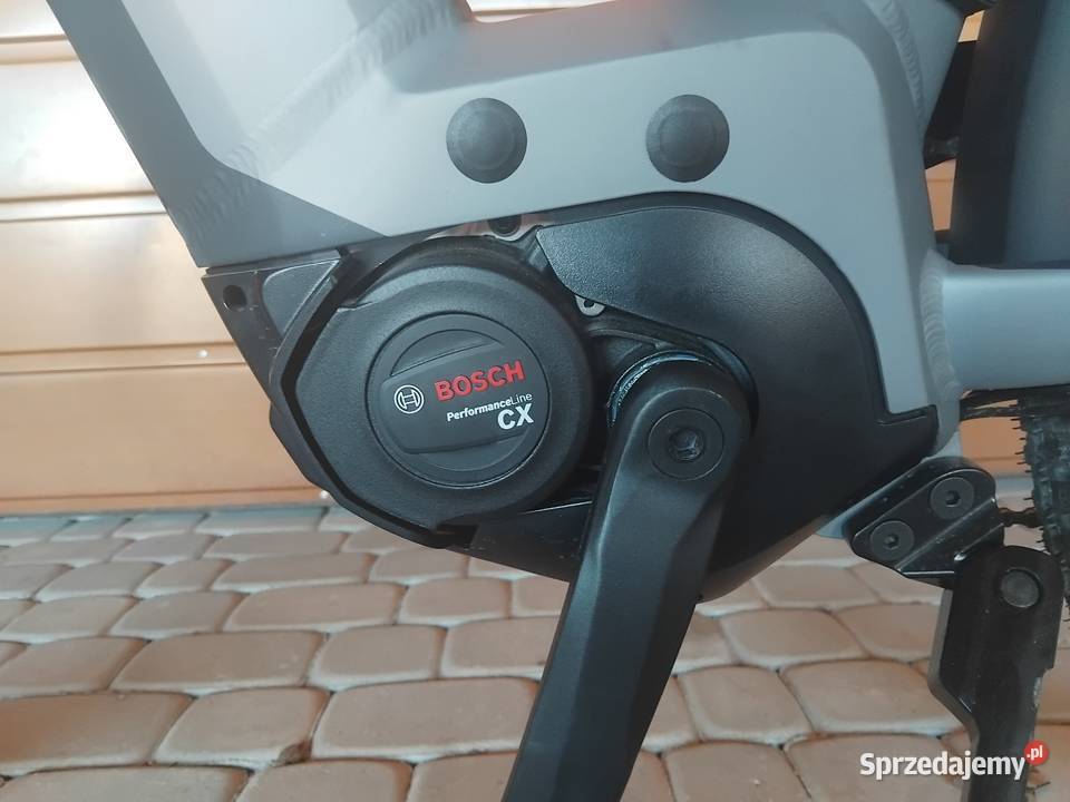 Rower bergamont Zarzecze