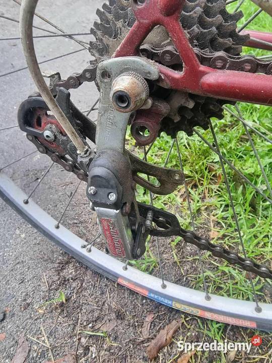 Rower kolarzówka Gazelle śląskie Gliwice