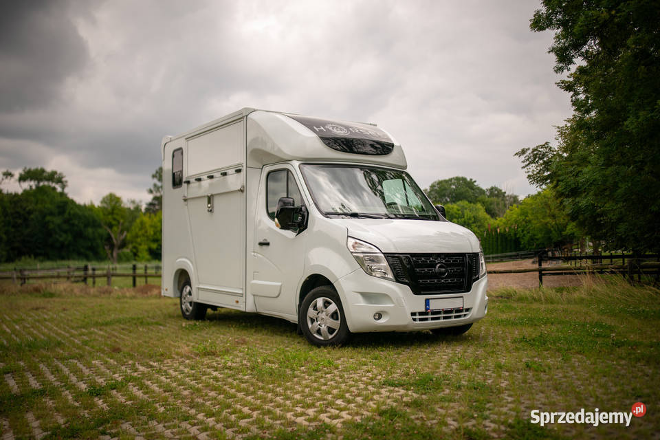 Nissan NV400 KONIOWÓZ Samochód do przewozu koni Rokietnica