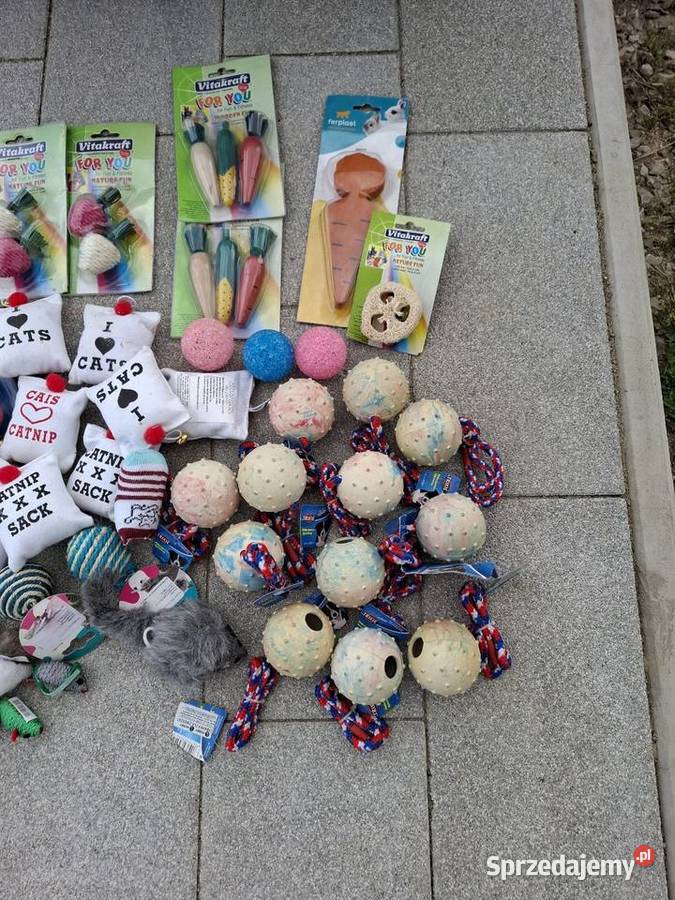 Zabawki kota psa królika Kajetany