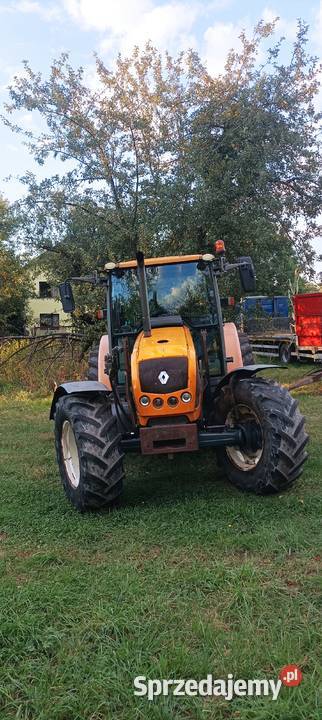 Renault Celtis z turem Puńców