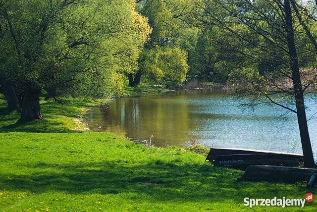Działka bud 3417 m2 Leśniewo jez Rydzówka wz warmińsko-mazurskie sprzedam