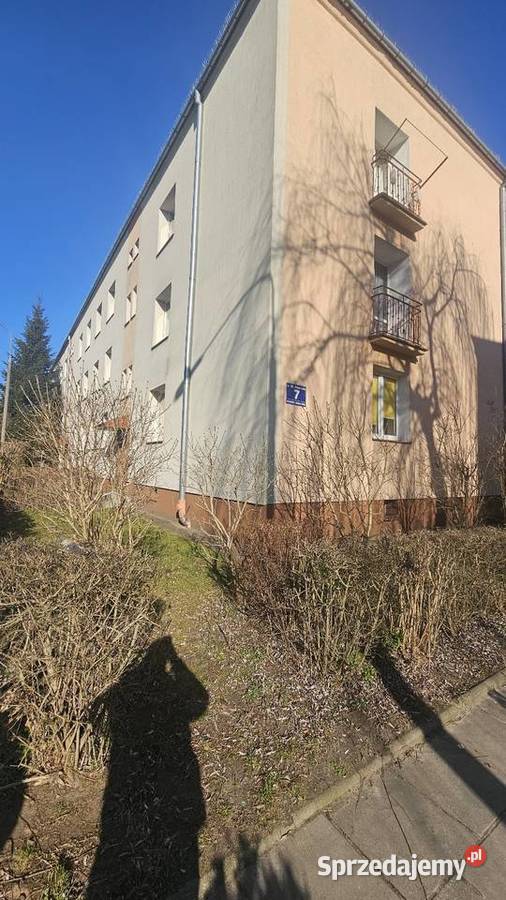 Mieszkanie 355m Parter własność Płock