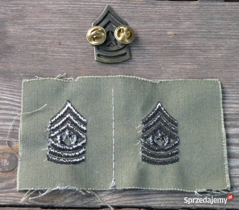 Stopnie us army sergeant major Pin naszywki Militaria sprzedam