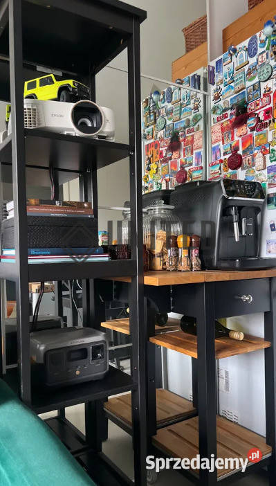 Beaty Artemskiej dolnośląskie Wrocław