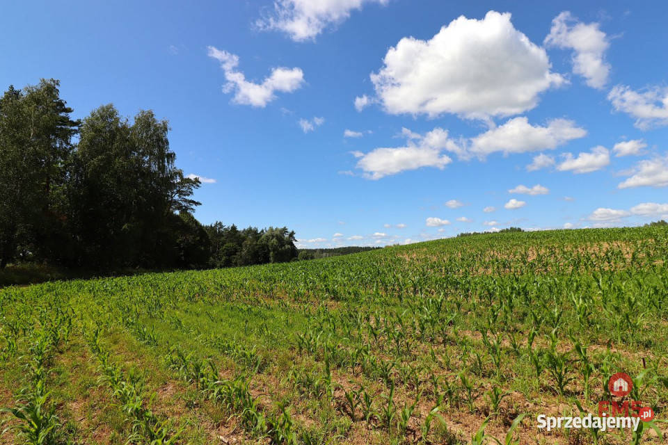 Działka 1100m2 Rożyńsk Wielki