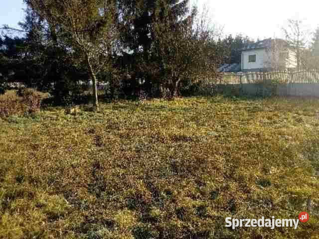 2ha Pod DziaŁalnoŚĆ GospodarczĄ Wierzbica