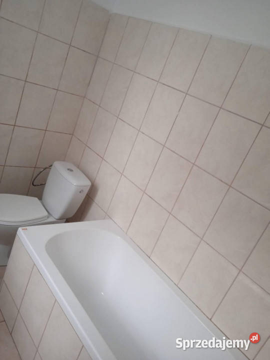Na sprzedaż dom wolnostojący gotowy do 3500m2 Dobre