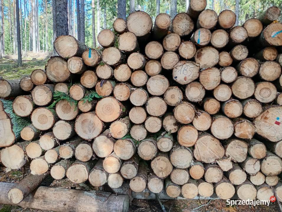 Stęple budowlane Pozostałe Ząbkowice Śląskie