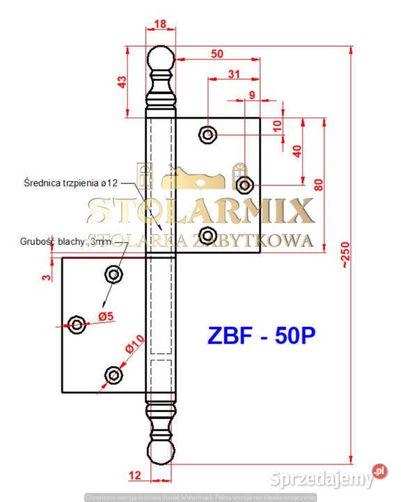 Zawias do starych drzwi bezprzylgowych ZBF 50P kujawsko-pomorskie Paterek sprzedam