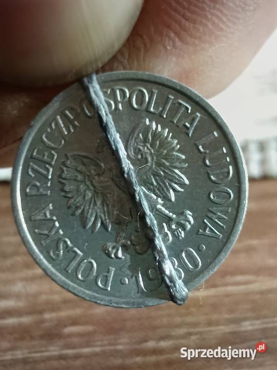 Sprzedam 20 gr 1980 r mala skretka lubelskie Chełm sprzedam