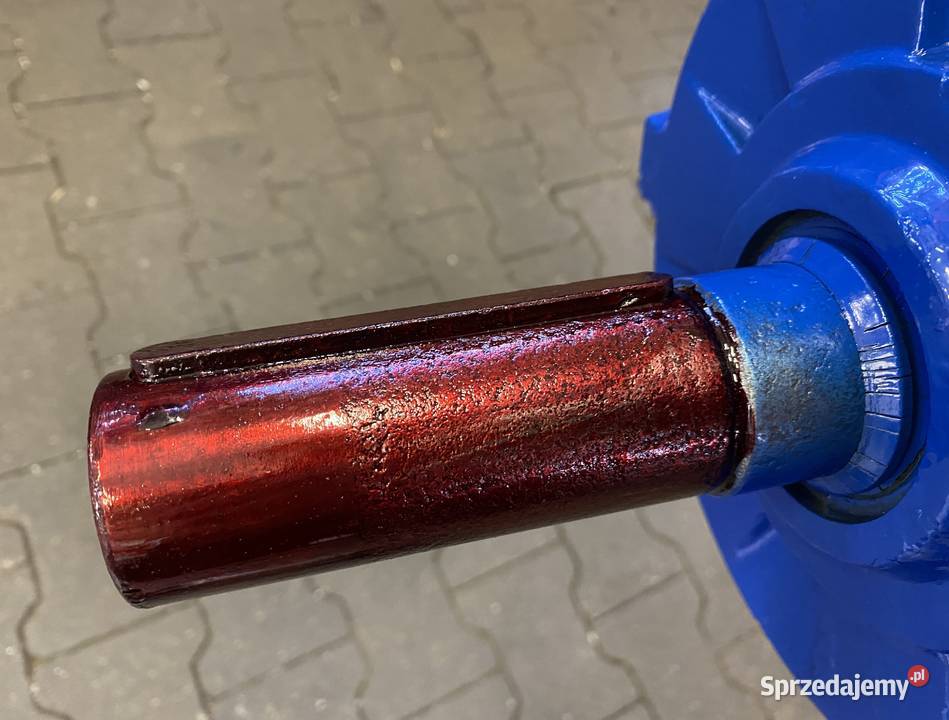 silnik elektryczny 15kW 2920obr 3fazowy CELMA Pigża