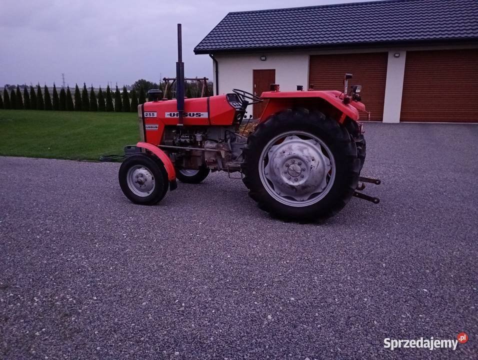 Massey Ferguson MF 255 Ursus Łęczna sprzedam