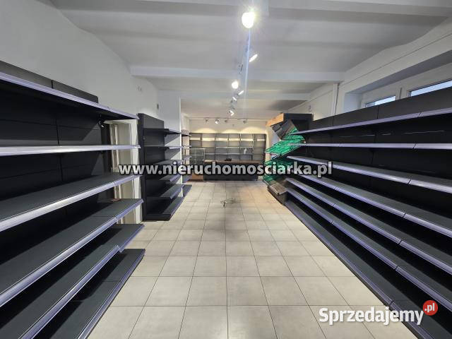 Dom wolnostojący 284 metry Wodzisław Śląski sprzedam