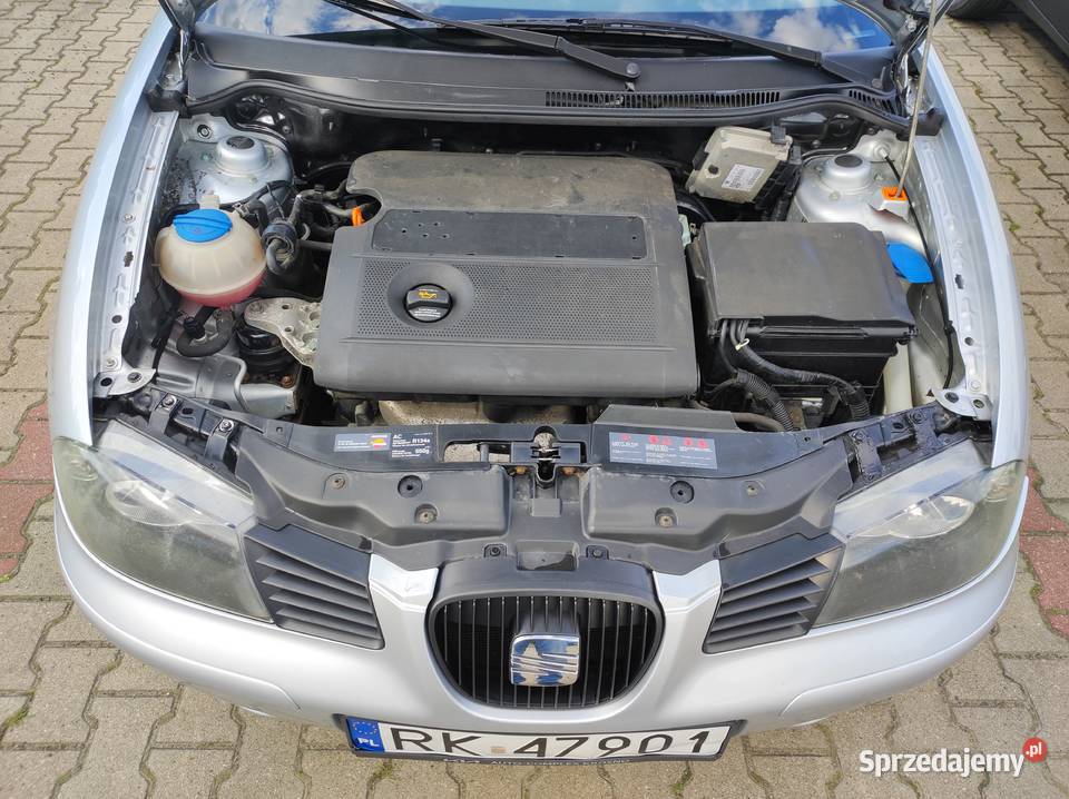 Seat Ibiza 14 MPI 2004 Rok produkcji 2004 Krosno