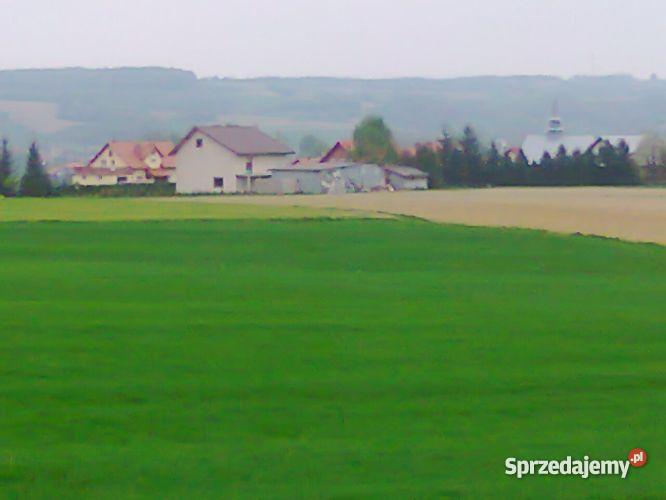 dzialke