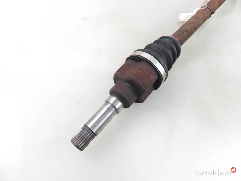 PÓŁOŚ LEWA TYLNA RENAULT KANGOO I 19 dCi osobowe małopolskie sprzedam