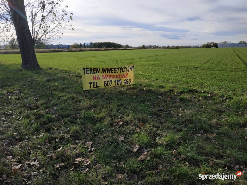 Na sprzedaż sprzedaż nieruchomości gruntowych
