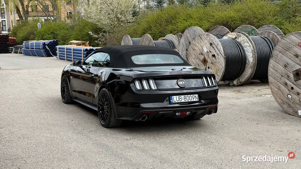 Mustang Europa Szwajcaria Lublin