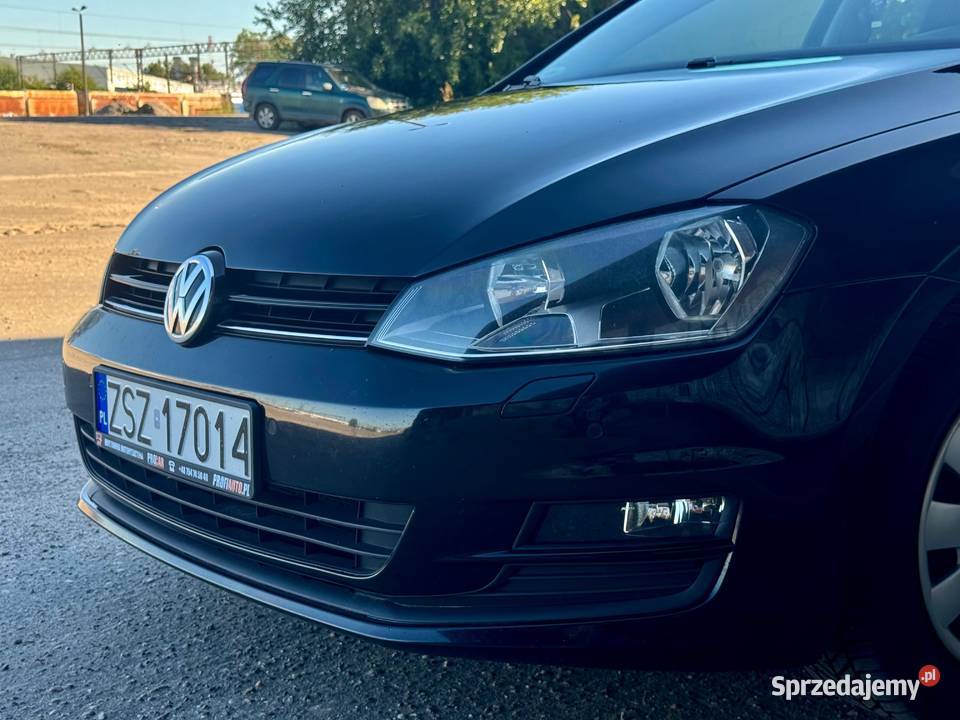Golf VII 16 TDI