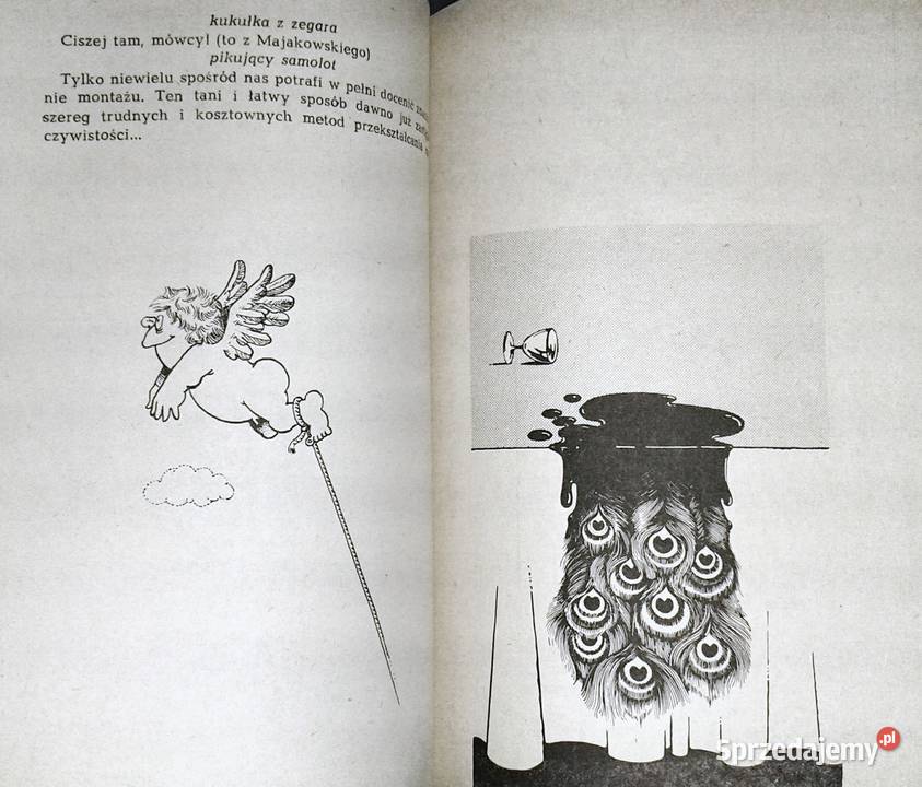 Z przymrużeniem ucha Tomik z wolszczyzną Marcin Chełm