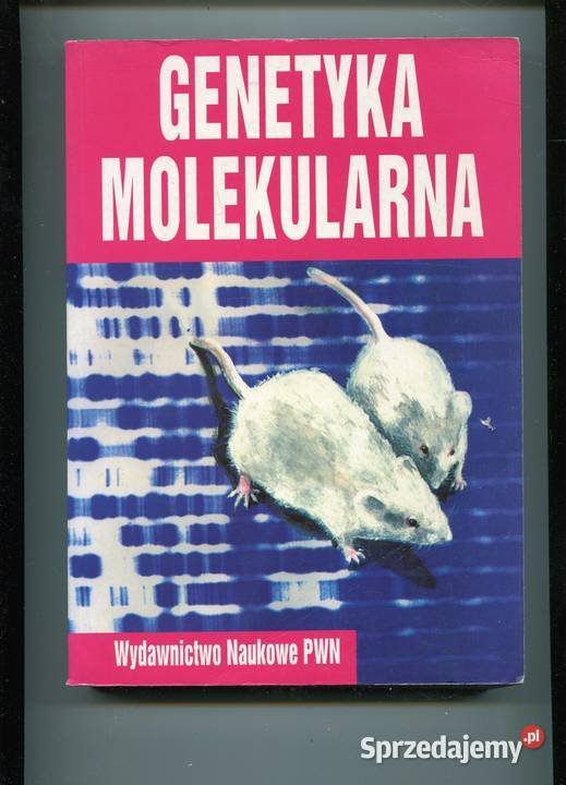 Genetyka molekularna Węgleński Rok wydania 1996