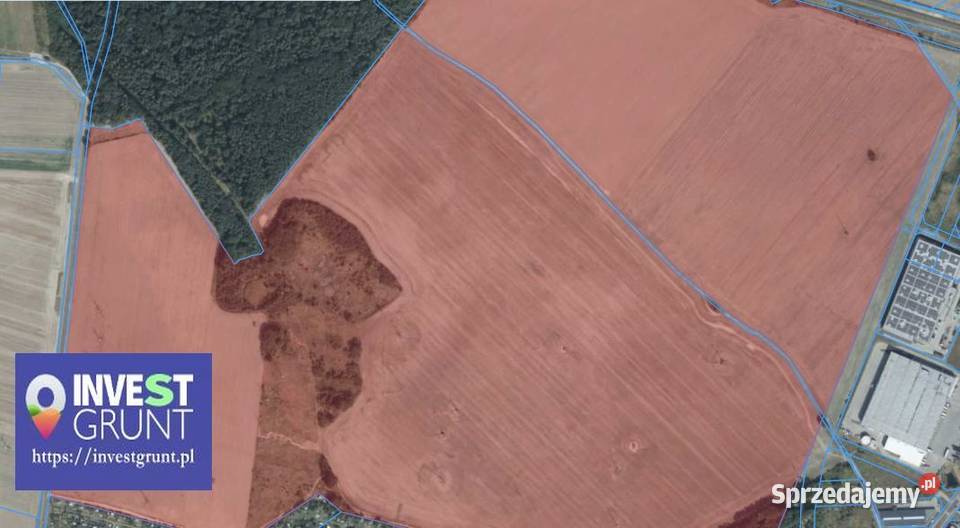 30130 ha grunty rolne przetarg na dzierżawę Wynajem Nieruchomości Lipnik