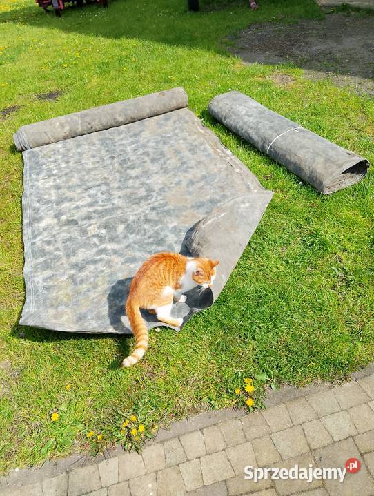 mocne maty na podłoże w uprawach Tomaszów Mazowiecki