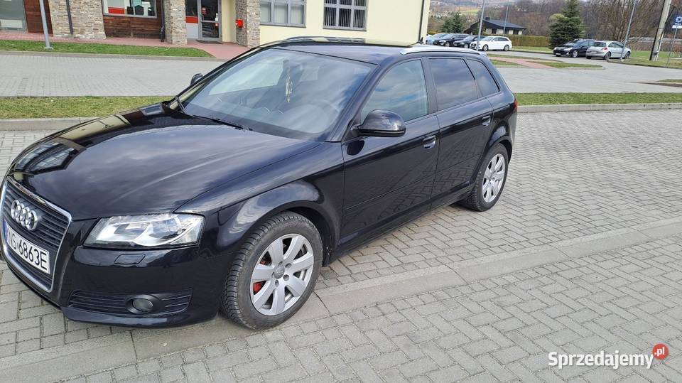 Audi a3 8p 20 tdi 140 20089 r ABS małopolskie Łososina Dolna