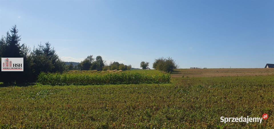 Grunt Michałowice 1800m2