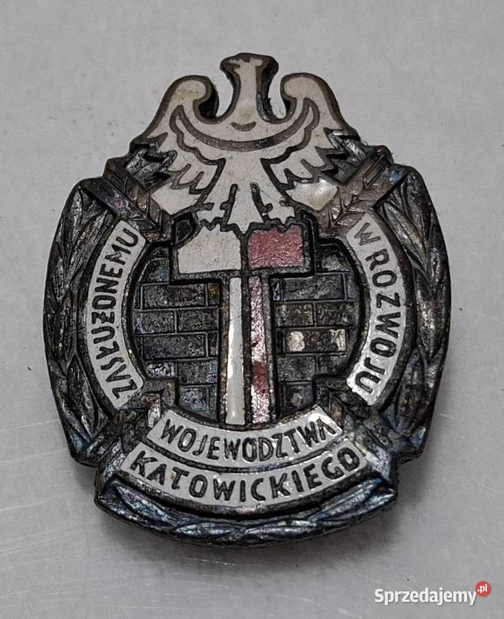 Odznaka Zasłużonemu w Rozwoju Województwa Czeladź sprzedam
