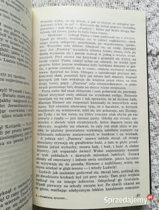 Powstaną synowie ognia Zenon Skierski Białystok