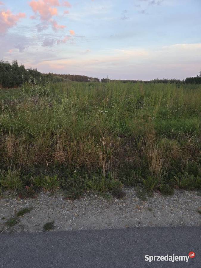 Działka 12800 m2 rolno budowlana Karolew 12800m2 Pniewy