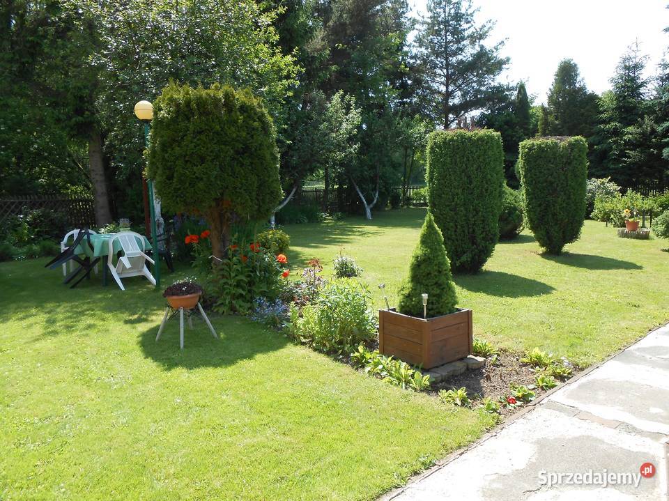 Kamienna Góra dom z ogrodem 640