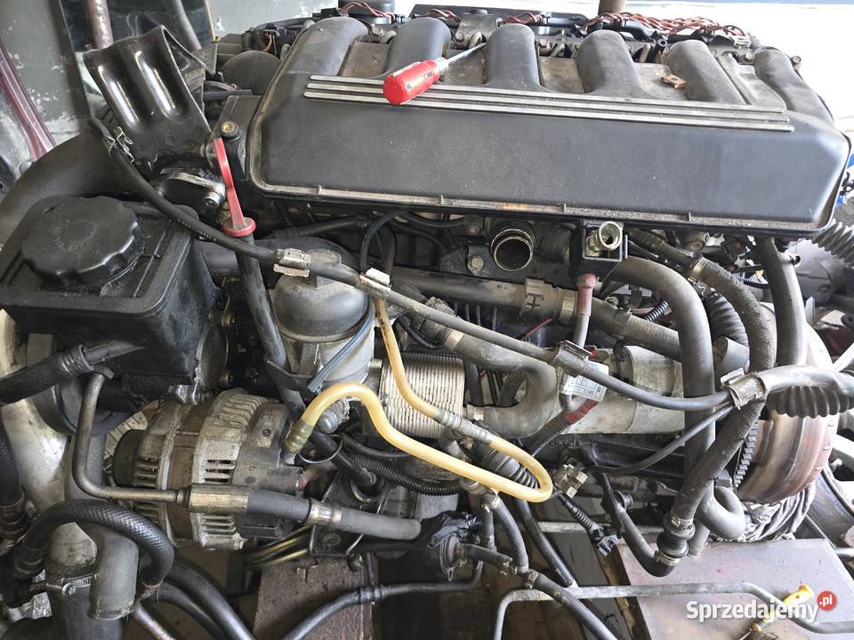 Silnik kompletny M57 30 d BMW 184 Elbląg