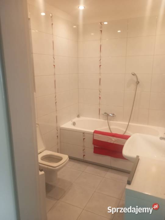 Wynajmę mieszkanie w centrum Kielc Liczba pokoi 2 Kielce